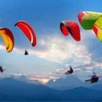 Epicurean Escapades: Fine Dining and Culinary Travels